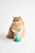 Load image into Gallery viewer, Ceramic Cat Food Bowl - Jade Green - Elevated & Handmade
