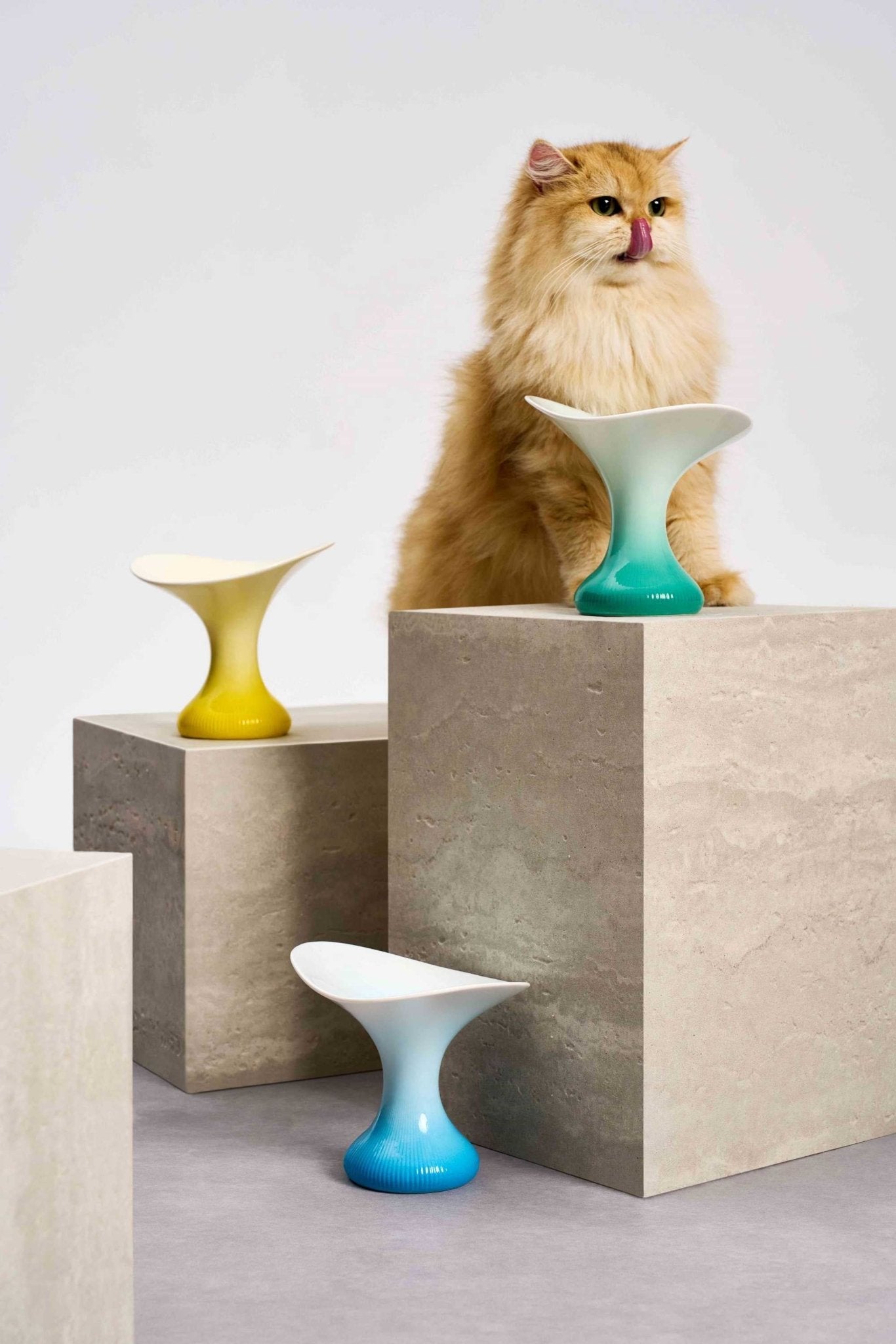Ceramic Cat Food Bowl - Sunshine Yellow - Elevated & Handmade