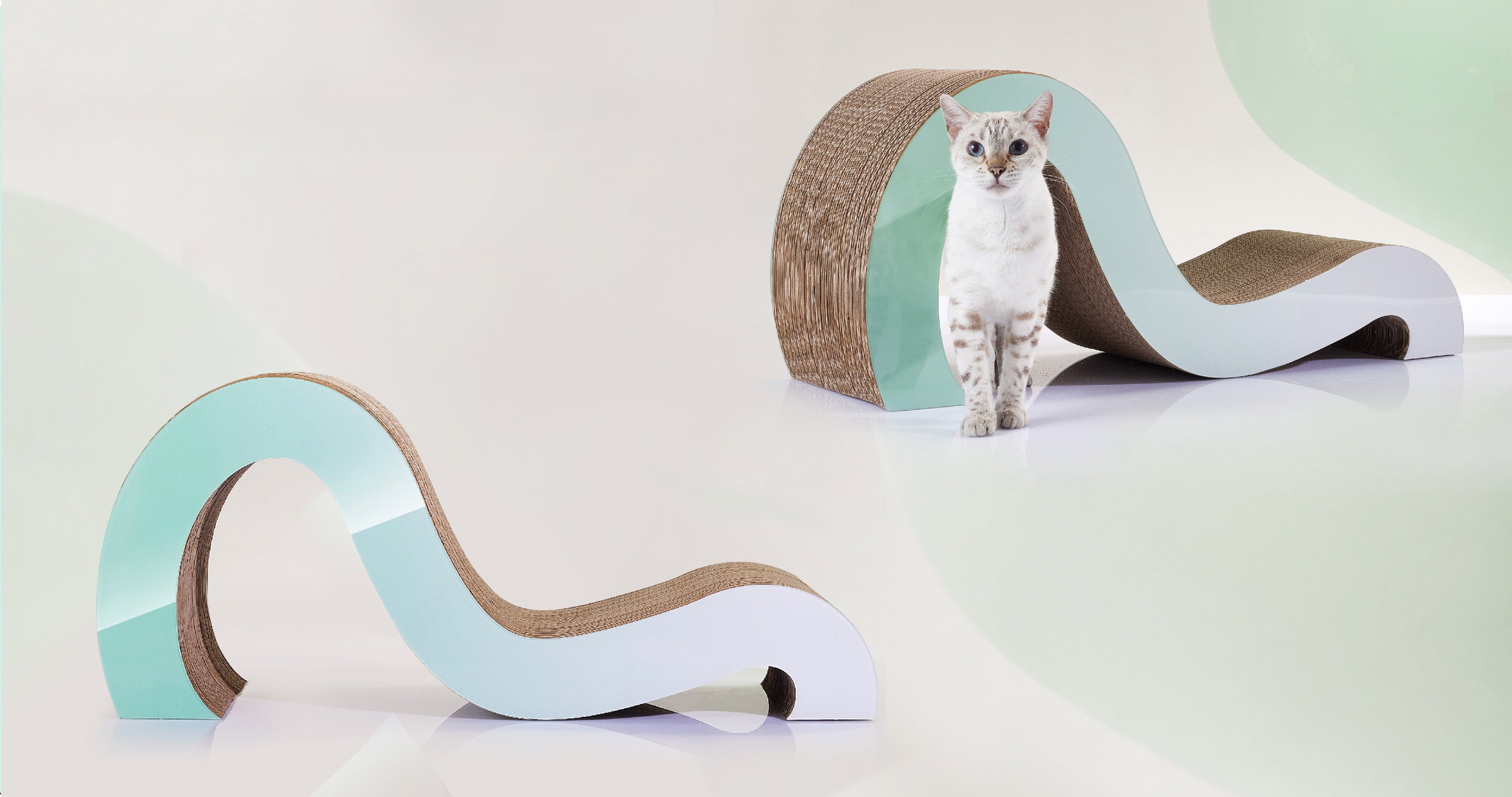 A white and brown cat stands on a wavy blue and brown scratching pad, with another similar scratching pad placed nearby on a white background.