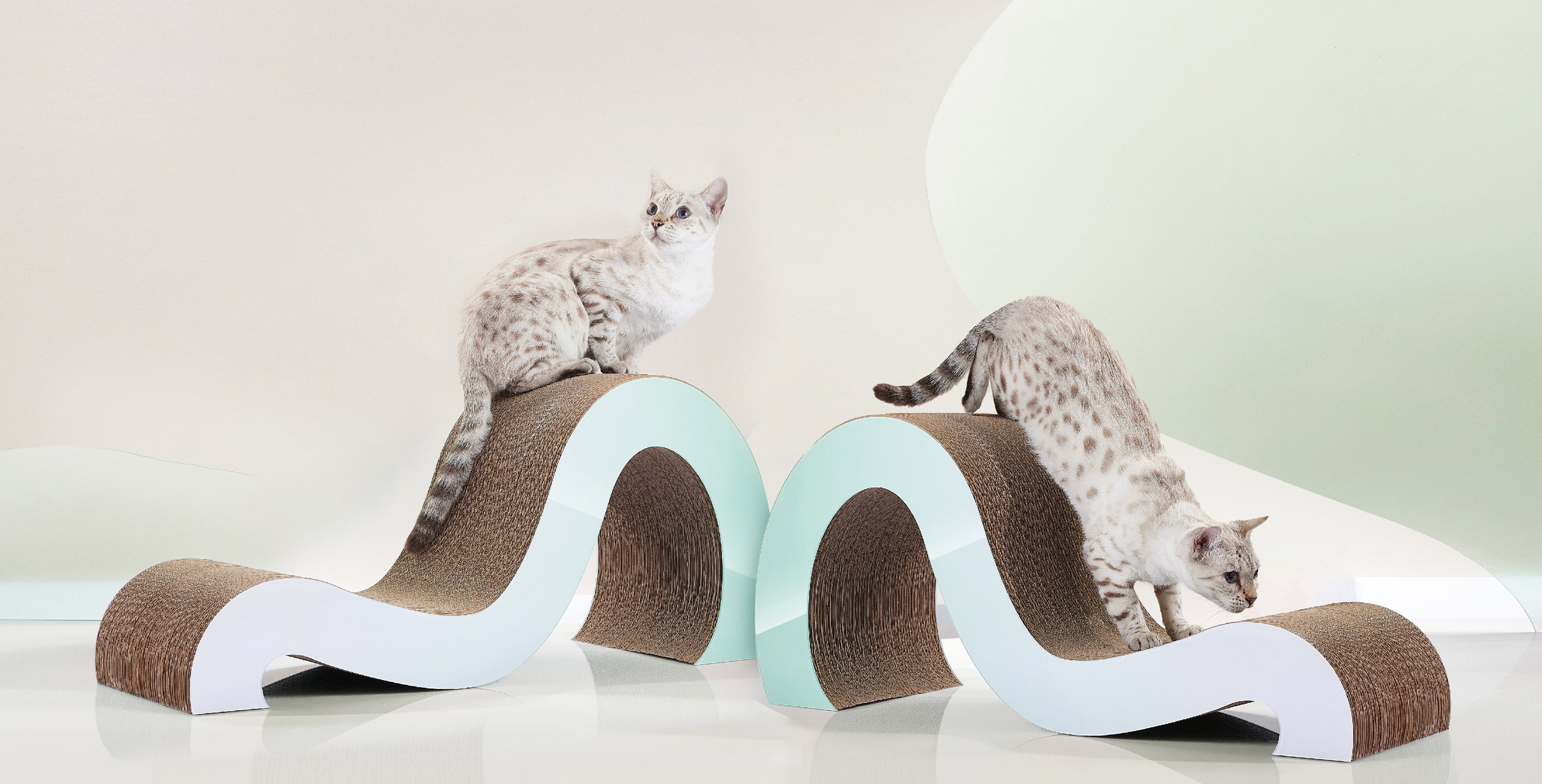 Two white and grey cats with spots play on modern, wave-shaped cat scratchers in a minimalist setting.