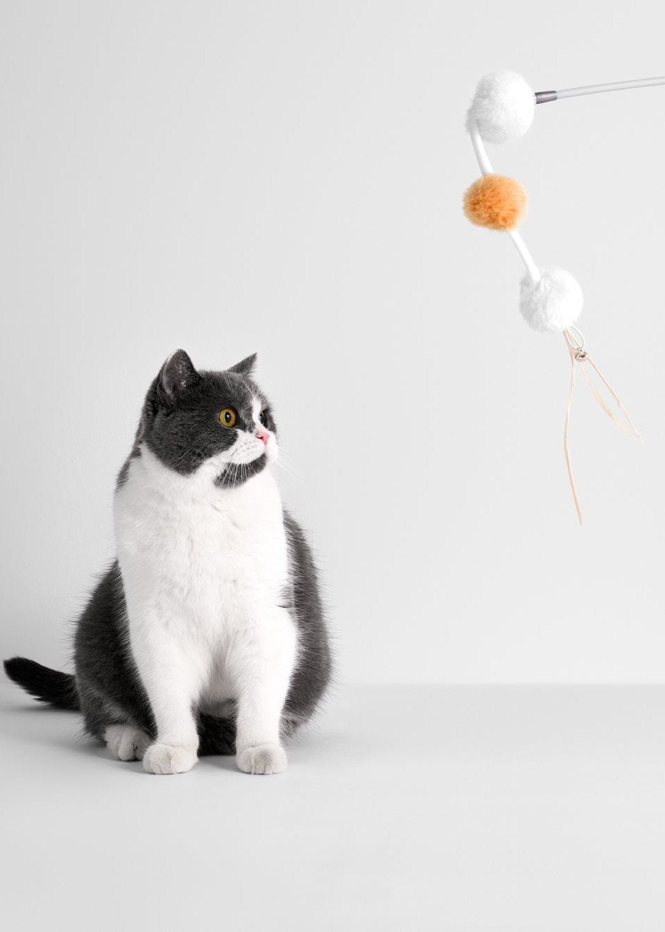 Cat Toy Teaser Wand - Retractable & Fun - Sunrise Orange