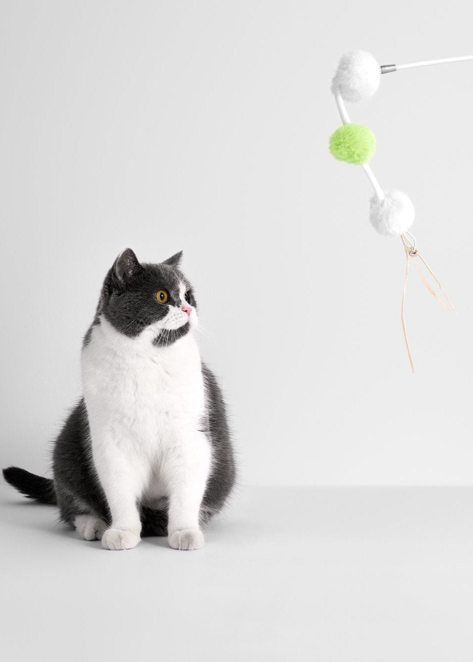 Cat Toy Teaser Wand – Green – Retractable & Fun – Interactive Cat