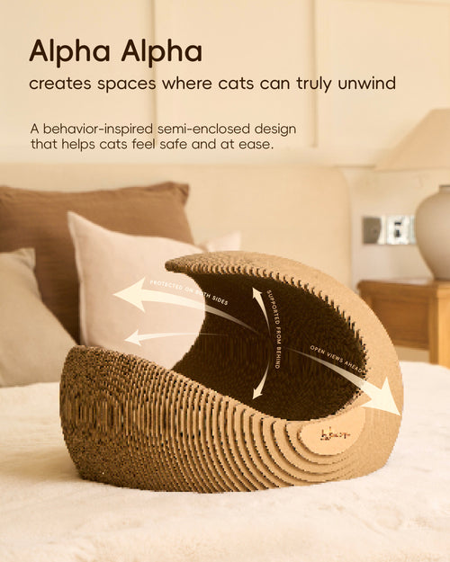 Behavior-Inspired Cat Cave Bed