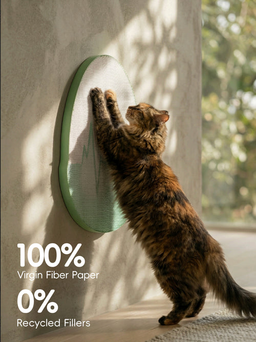 Designer Cat Scratcher