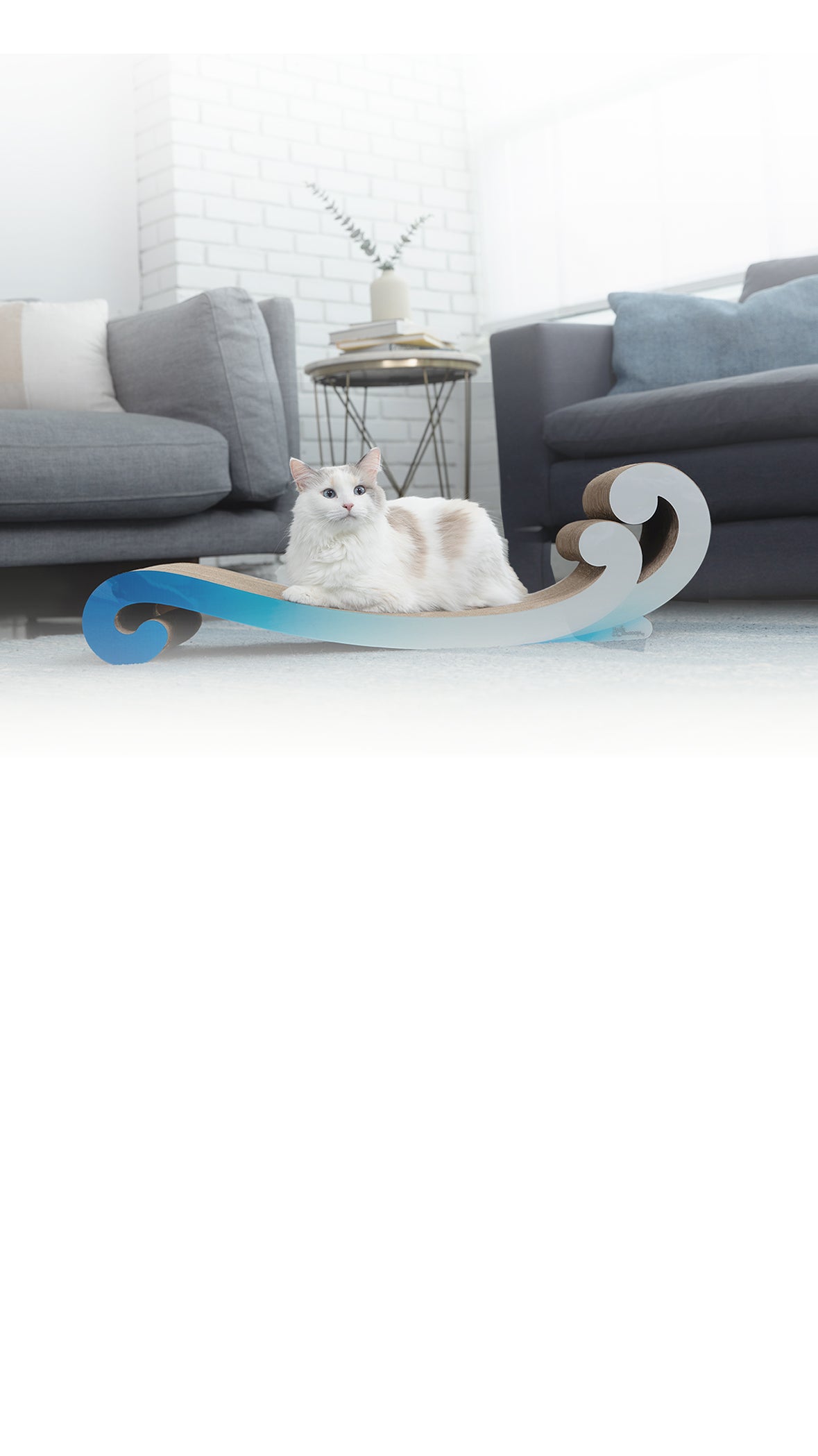 A white cat with light brown spots sits on a curved blue-and-white scratcher in a living room with grey furniture and a small table in the background.